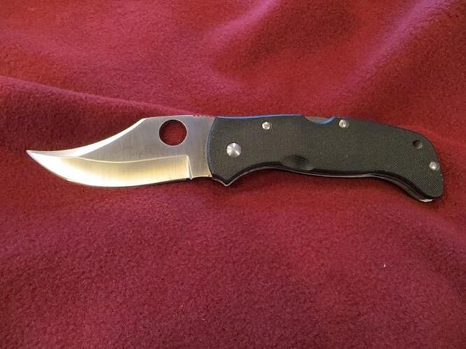 Chinook left small.jpg