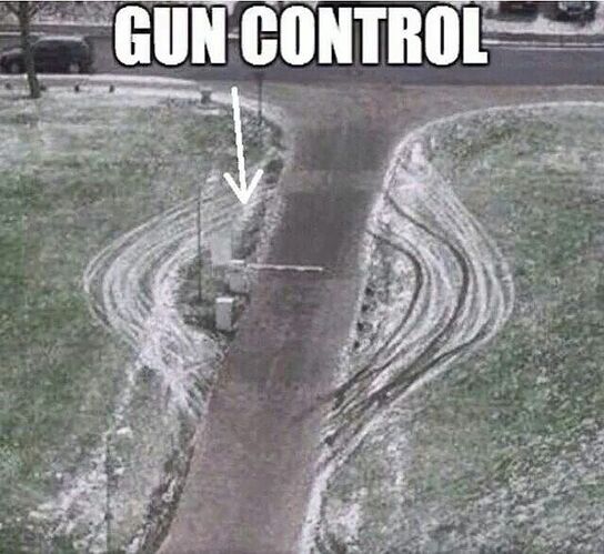 gun control.jpg