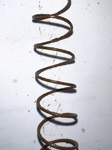 Rusty Mossberg Spring Boston