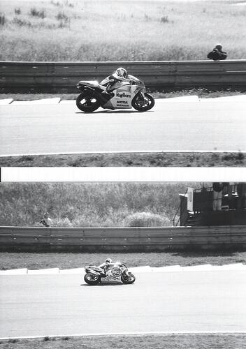 Rainey v Schwanz.jpg
