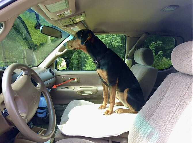 f31264c5b074e605200849a97b1aec0bdd9bd4da_2_1340x998 2