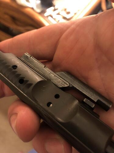 bcg3.jpg
