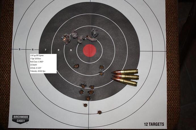150 gr Speer 300 Blk LilGun.jpg