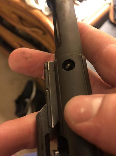 bcg2.jpg