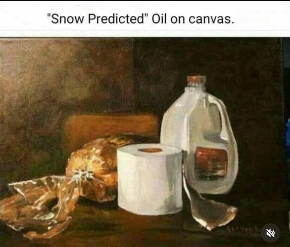seasonal-artwork-snow-predicted-oil-on-canvas-v0-bf0cwk2r19bc1