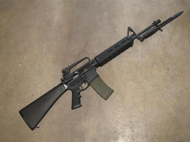 my223amp556002.jpg