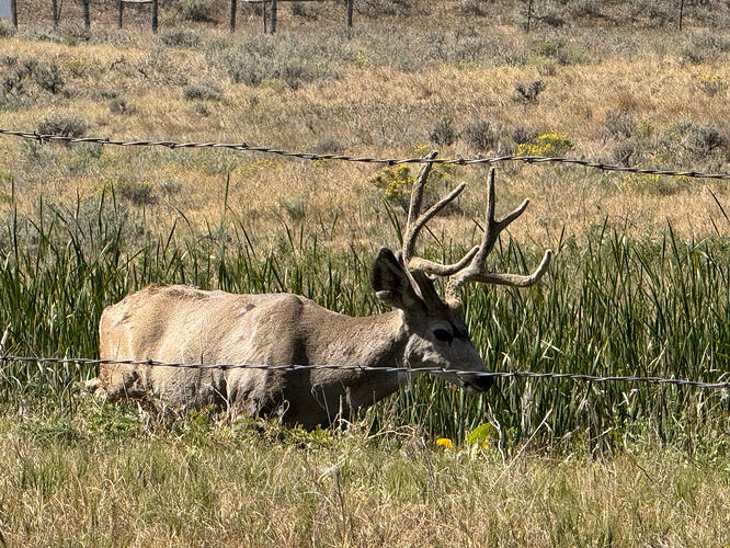 IMG_1603