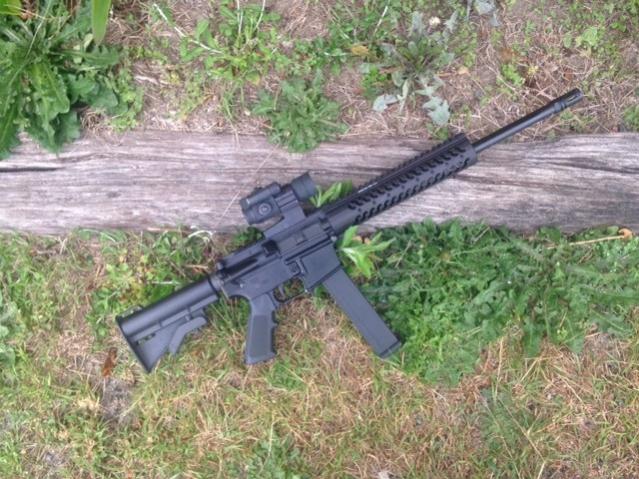 My new AR45.jpg