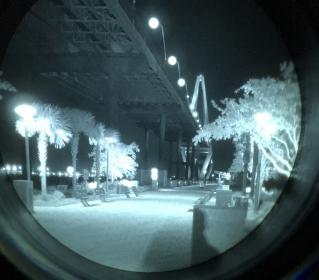 29C9885C-E84B-4C1E-A928-8EB8EBCB088C.jpg