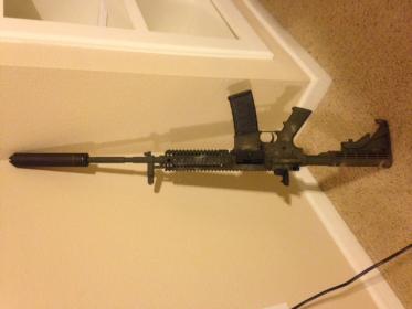 colt2.jpg