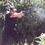 Akin