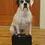 Boxerglocker