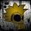 CENTCOM_Survivor