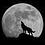 Moon_Doggie