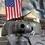 Panzerschreck
