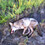 yote72571